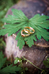 Similar image 11283266