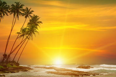 Similar image 11286539