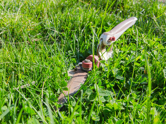 Similar image 11280827