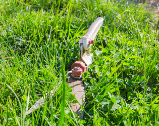 Similar image 11280829