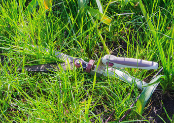 Similar image 11280830