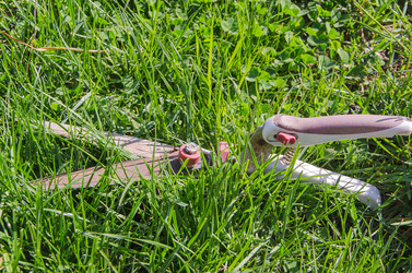 Similar image 11280832