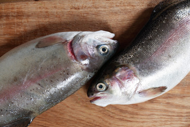 Similar image 11280809