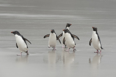 Similar image 11287684