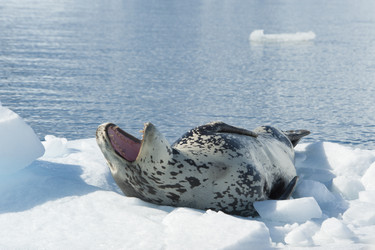 Similar image 11287706