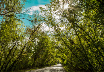 Similar image 11281361