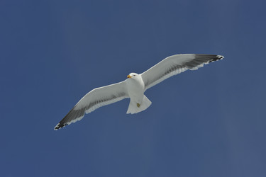 Similar image 11287766