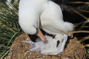 Similar image 11287767