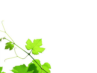 Similar image 11284330