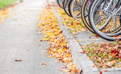 Similar image 11384752