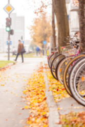 Similar image 11384754