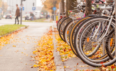 Similar image 11384756