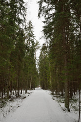 Similar image 11283925