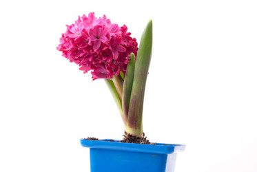 Similar image 11391403