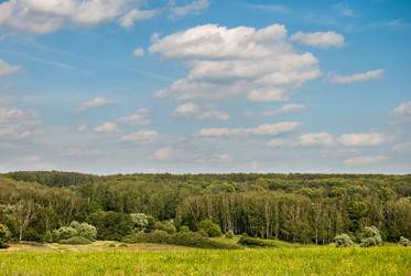 Similar image 11391859