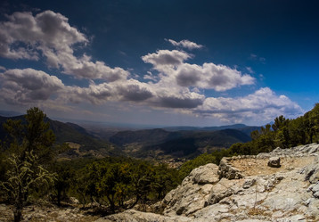 Similar image 11391869