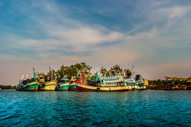 Similar image 11390511