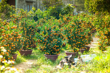 Similar image 11390552