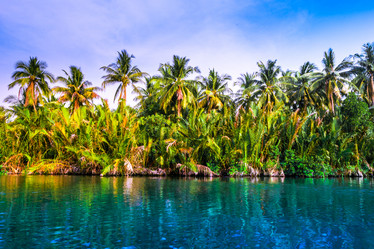 Similar image 11390607