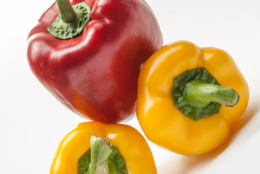 Similar image 11390615