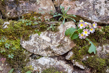 Similar image 11384766