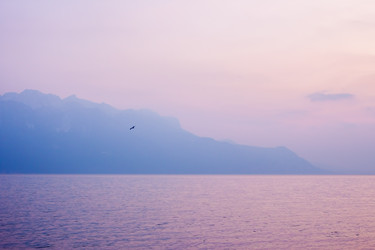 Similar image 11384768