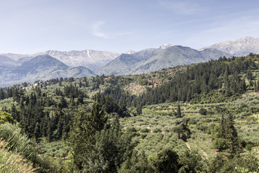 Similar image 11283709