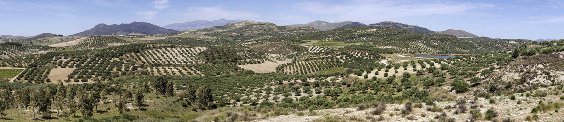 Similar image 11283710