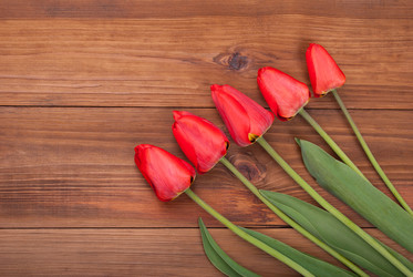 Similar image 11283903