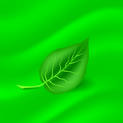 Similar image 11286596