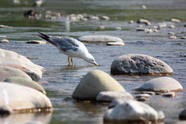 Similar image 11283714