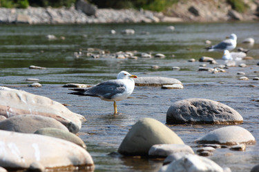 Similar image 11283715