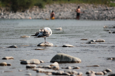 Similar image 11283716