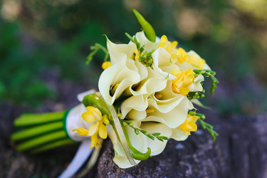 Similar image 11368745