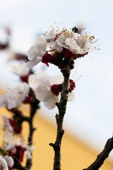 Similar image 11284180