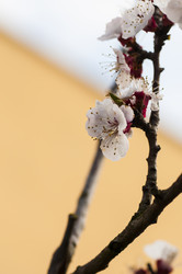 Similar image 11284181