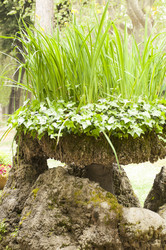 Similar image 11284205