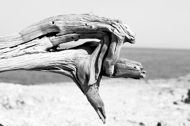 Similar image 11302918