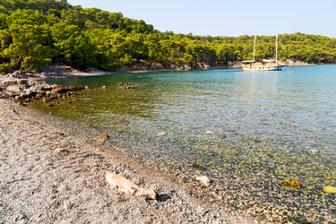 Similar image 11305511