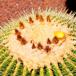 Similar image 11287214