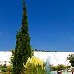 Similar image 11287194