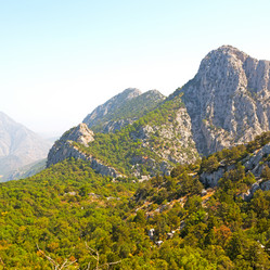 Similar image 11287198