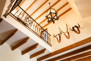 Similar image 11286854