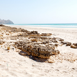 Similar image 11287159