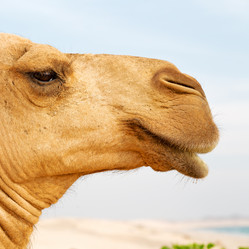 Similar image 11287161