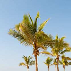 Similar image 11287181