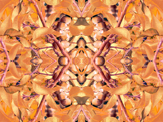 Similar image 11286530