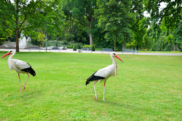 Similar image 11303131