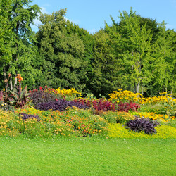 Similar image 11303144