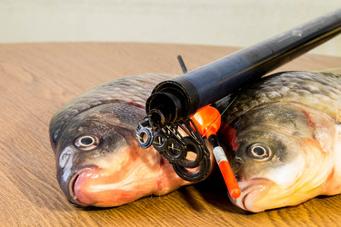 Similar image 11302927